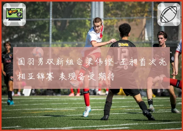 国羽男双新组合梁伟铿_王昶首次亮相亚锦赛 表现备受期待