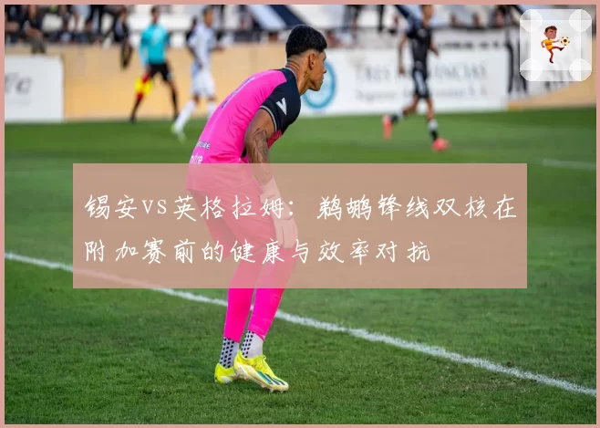 锡安vs英格拉姆：鹈鹕锋线双核在附加赛前的健康与效率对抗