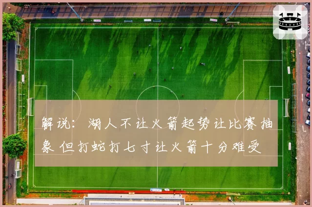 解说：湖人不让火箭起势让比赛抽象 但打蛇打七寸让火箭十分难受