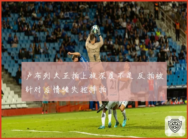 卢布列夫正拍上旋深度不足 反拍被针对后情绪失控摔拍