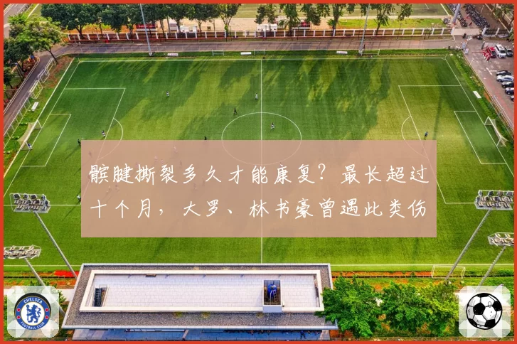 髌腱撕裂多久才能康复?最长超过十个月,大罗、林书豪曾遇此类伤病