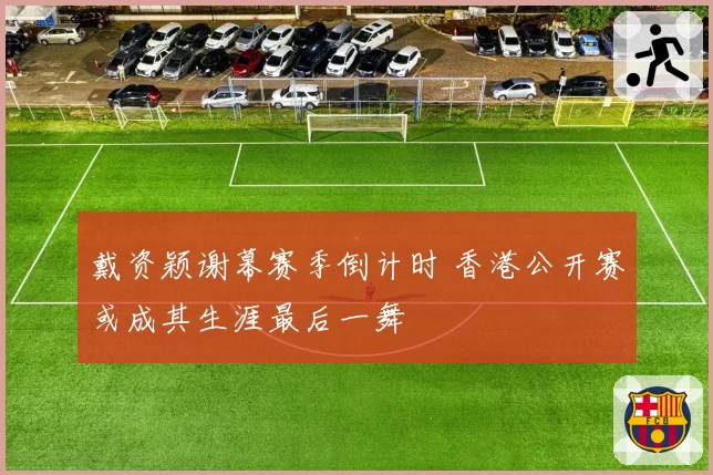 戴资颖谢幕赛季倒计时 香港公开赛或成其生涯最后一舞